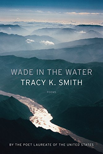 cover image Wade in the Water