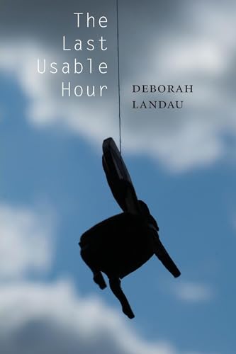 cover image The Last Usable Hour