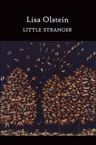 cover image Little Stranger