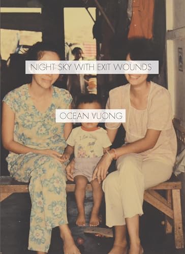 cover image Night Sky with Exit Wounds