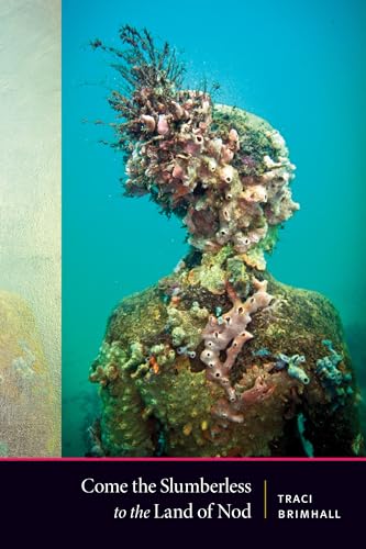 cover image Come the Slumberless to the Land of Nod