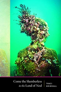 Come the Slumberless to the Land of Nod