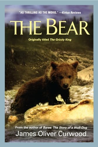 cover image The Bear