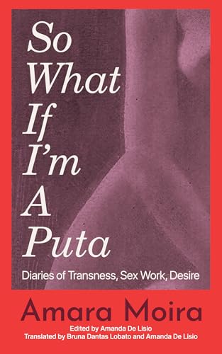 cover image So What If I’m a Puta: Diaries of Transness, Sex Work, Desire