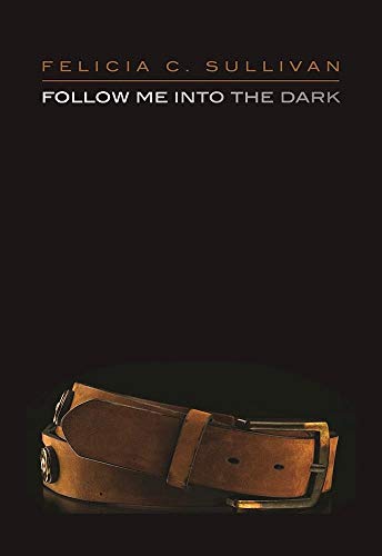 cover image Follow Me into the Dark