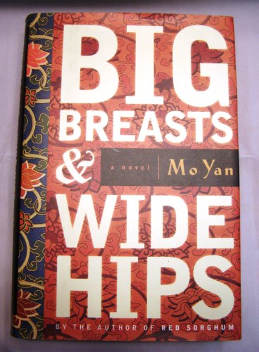 cover image Big Breasts & Wide Hips