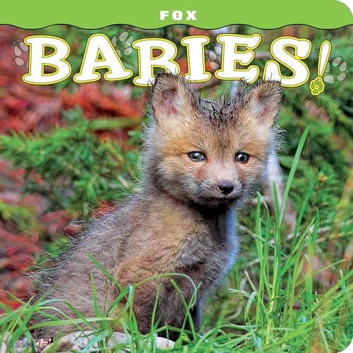 cover image Fox Babies!