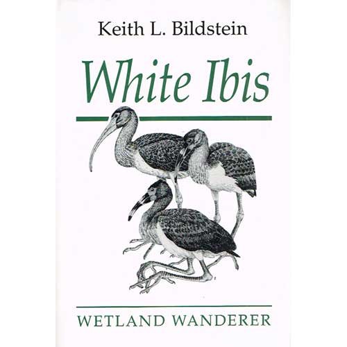 cover image White Ibis: Wetland Wanderer