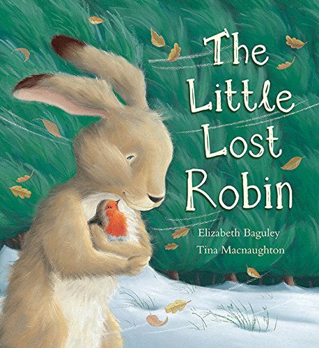 cover image The Little Lost Robin