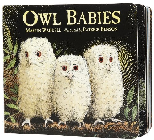 cover image Owl Babies