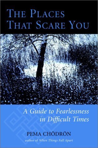 cover image The Places That Scare You: A Guide to Fearlessness in Difficult Times