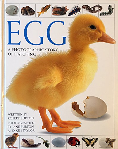 cover image Egg