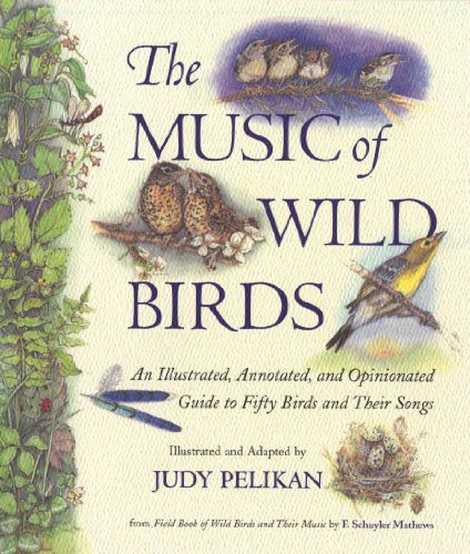 cover image The Music of Wild Birds