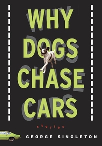 WHY DOGS CHASE CARS