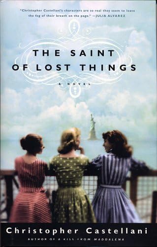 cover image The Saint of Lost Things