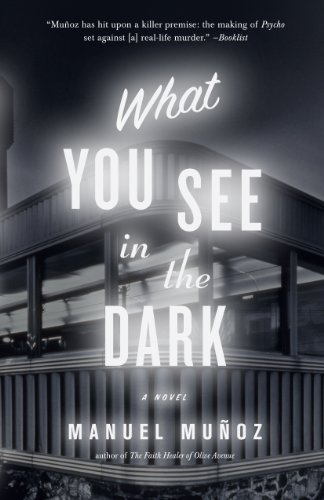 cover image What You See in the Dark