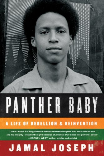 cover image Panther Baby: A Life of Rebellion and Reinvention
