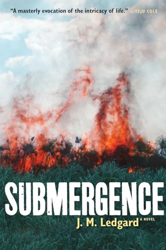 cover image Submergence