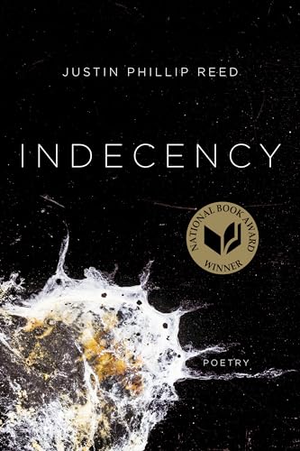 cover image Indecency