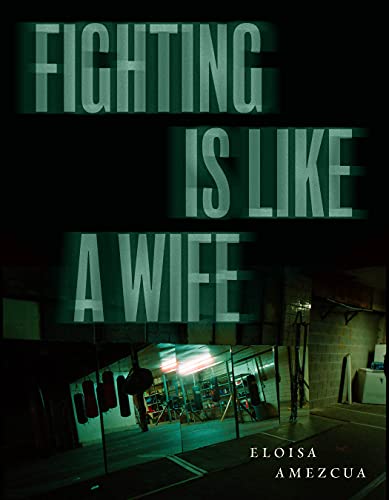 cover image Fighting is Like a Wife