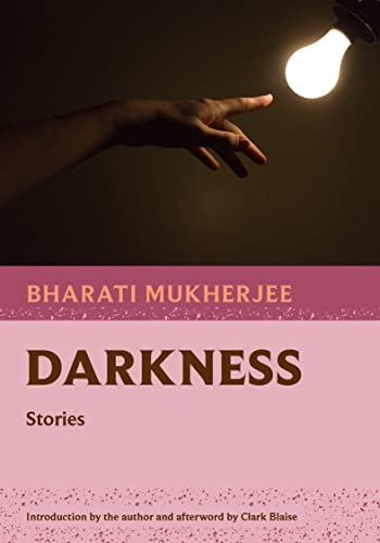 cover image Darkness