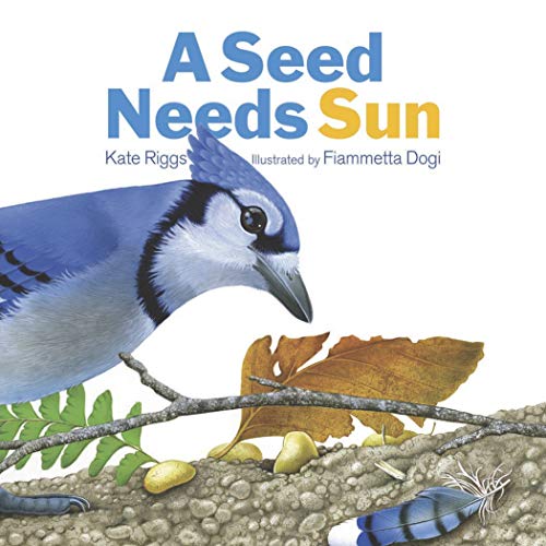 cover image A Seed Needs Sun