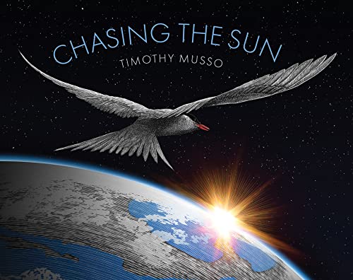 cover image Chasing the Sun