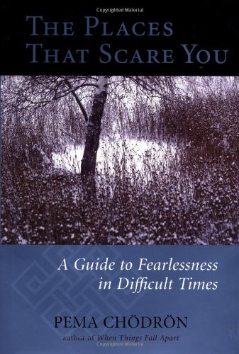 cover image THE PLACES THAT SCARE YOU: A Guide to Fearlessness in Difficult Times