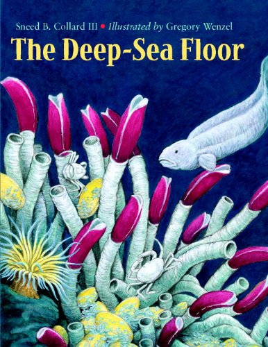 cover image The Deep-Sea Floor