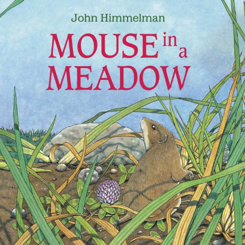 cover image MOUSE IN A MEADOW