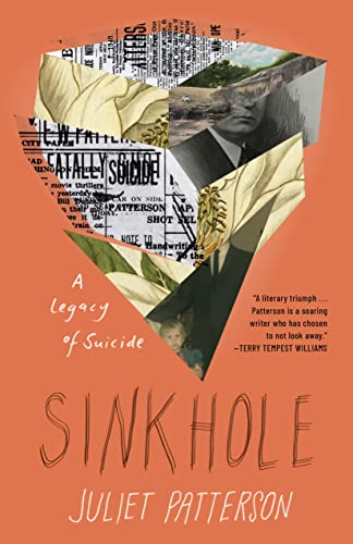 cover image Sinkhole: A Legacy of Suicide