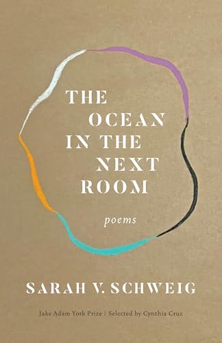 cover image The Ocean in the Next Room