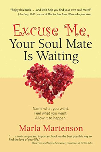 cover image Excuse Me, Your Soul Mate Is Waiting