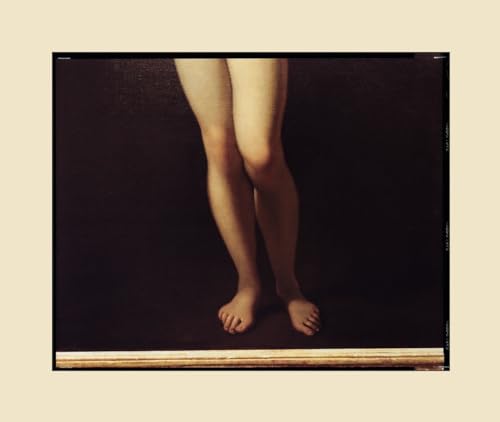 cover image Pictures of Paintings: Photographs by Richard Misrach