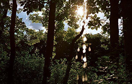 cover image Pees on Earth