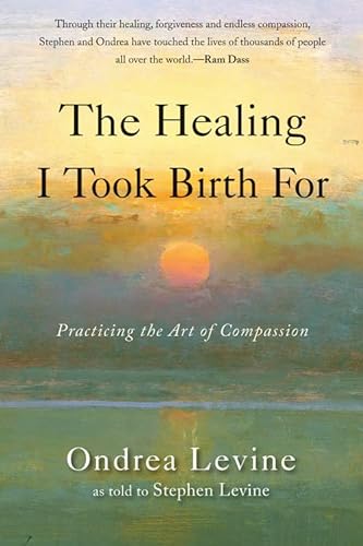 cover image The Healing I Took Birth For: Practicing the Art of Compassion