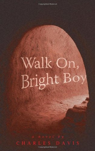 cover image Walk On, Bright Boy