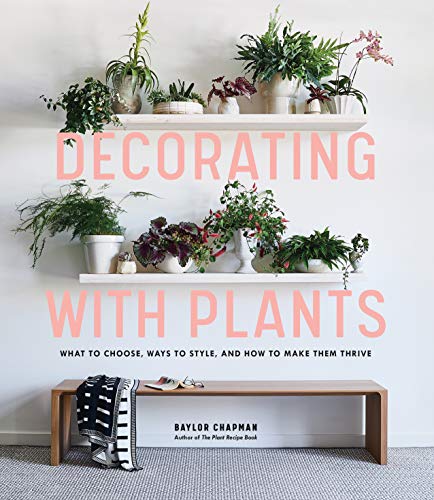 cover image Decorating with Plants: What to Choose, Ways to Style, and How to Make Them Thrive