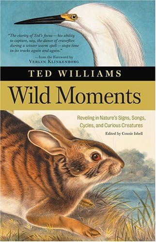 cover image Wild Moments