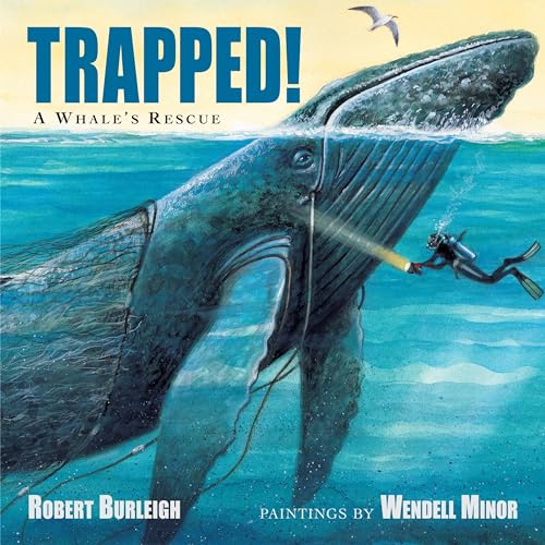 cover image Trapped! A Whale’s Rescue