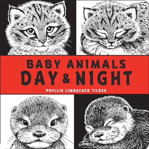 cover image Baby Animals Day & Night