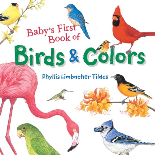 cover image Baby’s First Book of Birds & Colors