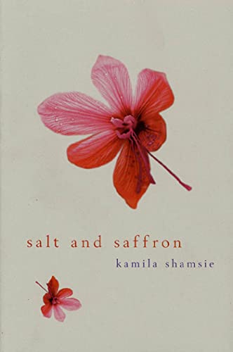 cover image Salt and Saffron