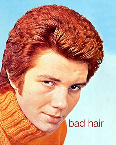 cover image Bad Hair