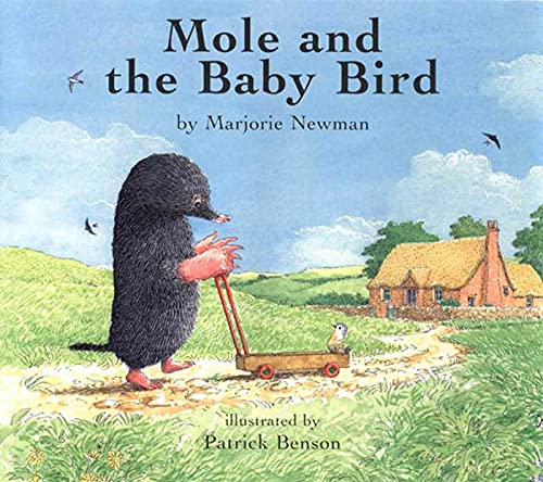 cover image MOLE AND THE BABY BIRD