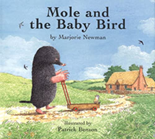 cover image Mole and the Baby Bird