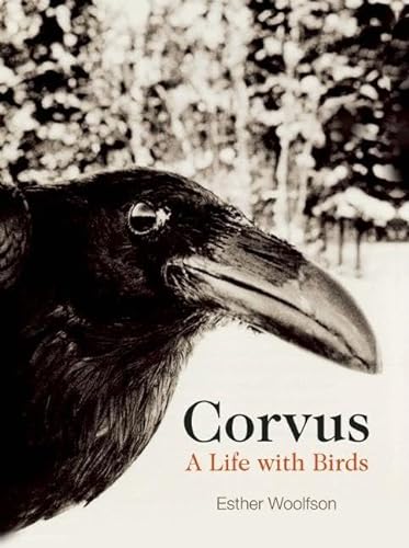 cover image Corvus: A Life with Birds