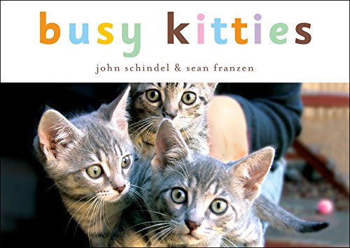 cover image Busy Kitties
