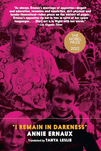 cover image I Remain in Darkness