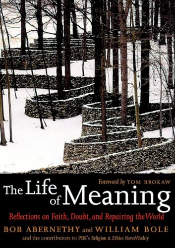 cover image The Life of Meaning: Reflections on Faith, Doubt, and Repairing the World